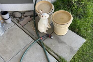 Why is Bubbly standing up? Scroll through to find out ;)