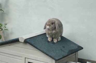 Why does he always do this