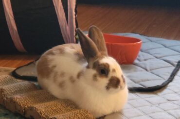 When it's Sunday so you're just loafing around