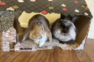 Why must they eat everything?