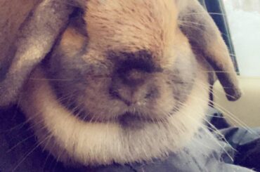 My favorite piece of bread🥰