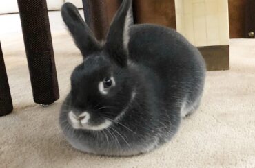 Had to make a stop at the bakery before tonight 🍞