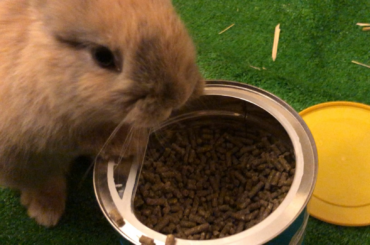 Sure, just help yourself.