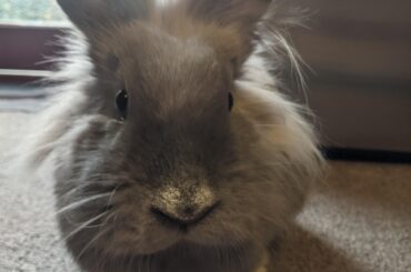 If you want to hang out, you've got to take her out, all purpose flour. If you want to get down, down on the ground, all purpose flour.