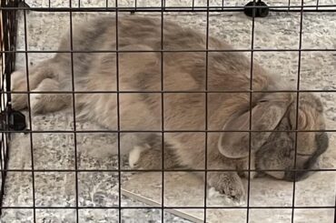 This tile is nice and cool during the hot summer days. Still sharp and hard though.
