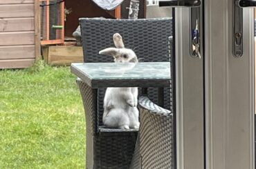 Well… I wasn’t expecting that.