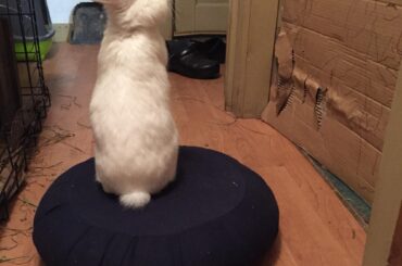 “But what’s in there?”