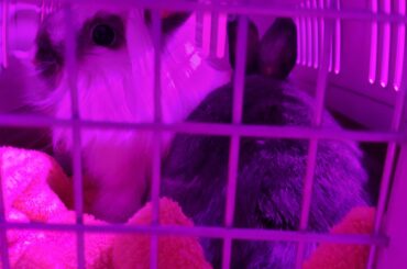 "Well ain't in the consequences of my own actions?"