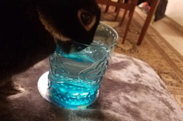 What's yours is mine, and what's mine is mine.