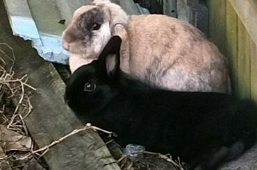 The most uncomfortable spot in our garden