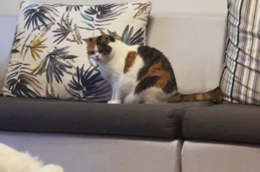 “Get off my sofa”