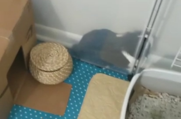 "This looks like good place to wedge myself in"