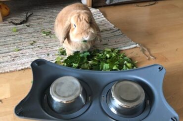 I know I can relate (x-post)