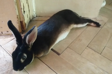 Love him so much 😆❤️