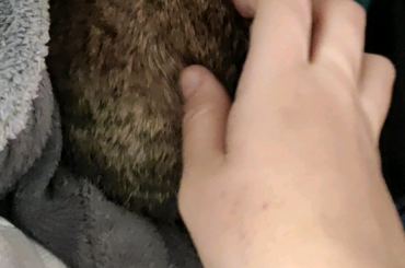 Left my closet open by accident. Came bak to this: