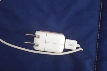 Rabbits have expensive tastes, only the finest Apples for them (x-post r/Rabbits)