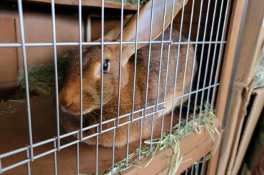 Her technique is flawless.