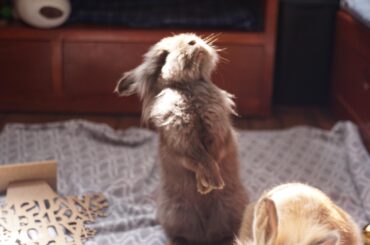 He really wanted more of my homemade treats