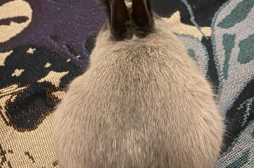 Just loafin around 😍