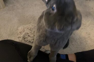 He’s rather proud of his hard work.