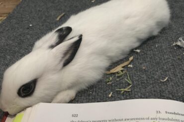 I was told y’all might like this