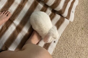 Oh I have been very comfortable!