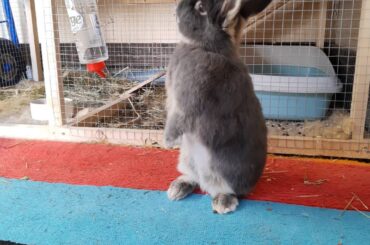 Steve is once again standing