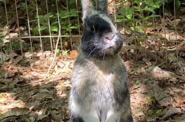 Cutie pie is enjoying his time outdoors!