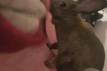 personal space? who is she