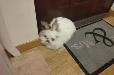 Loaf under the doors. Is this a threat?