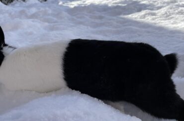 partial noodle credit? he moved too fast 😅