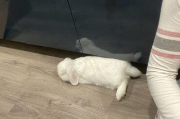 A post/breakfast relax noodle