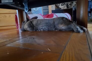 Stretching out and getting comphy