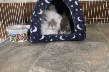 it is a small bed but they make it work. perfect fit.