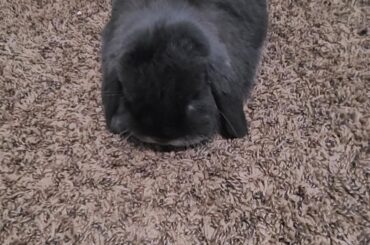 Kneaded to perfection