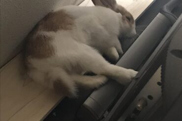 Mmmm...yes. Lying on a hard board and stretching my legs in a small space. Perfect!