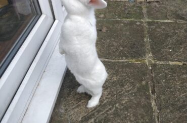 Checking out her reflection!