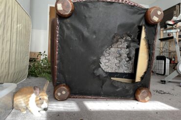 i dunno nuthin about no nuthin