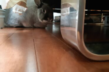 Bun on vent. AC running.