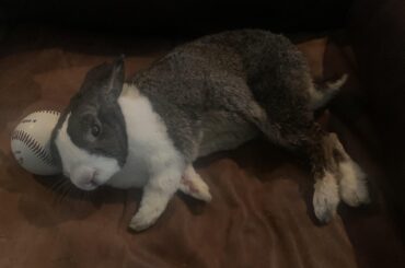 10 yo babe using my couch baseball as a pillow after flopping on it