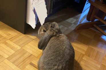 Gotta love an over-the-shoulder ‘wut?!’ look when caught