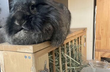 He’s just full of weird places this week!