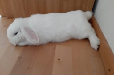 My first post i ever made on reddit