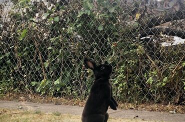 What’s over there, mom?