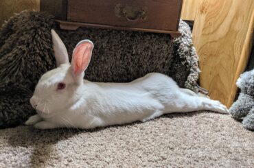 Black Susan lets me grab that tushy whenever I want. Are you jealous?