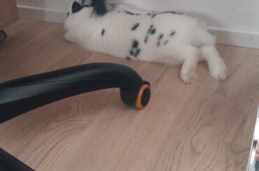 Thought this pic i took a while ago fits in here