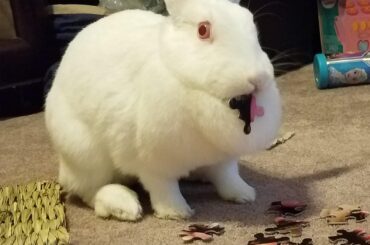 "I'm not doing anything!"