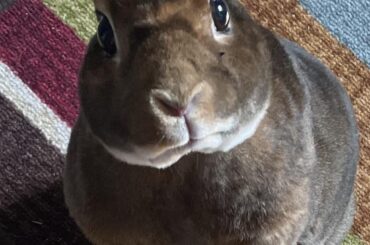 What you eatin maw??