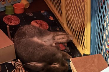 He’s out zzzzz!