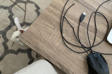 Owners now have a new mouse and a soldering kit (x-post r/Rabbits)